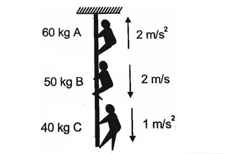 People climbing rope